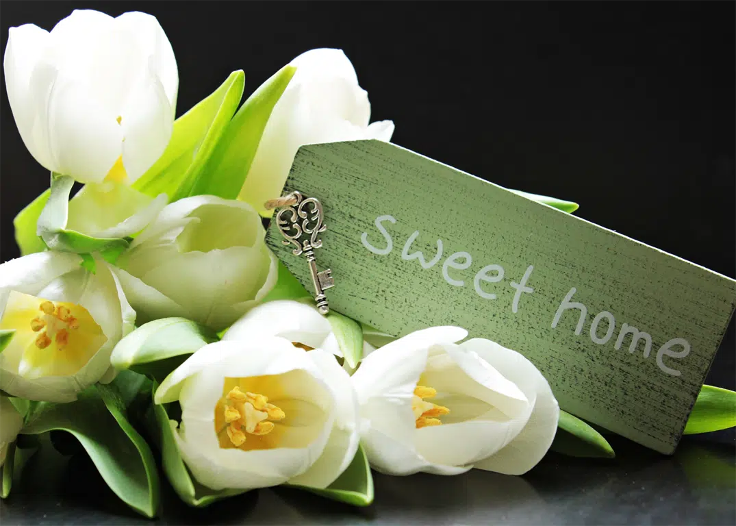 Special offer image